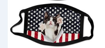 Black and White Kitty on Flag